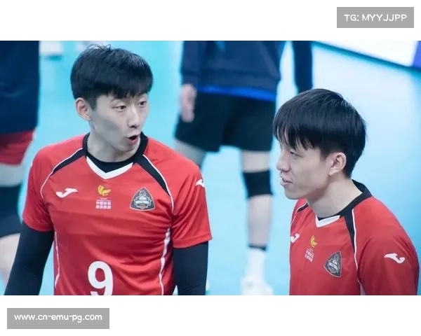 浙江男排主场憾负，关键分处理稍逊